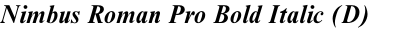 Nimbus Roman Pro Bold Italic (D)